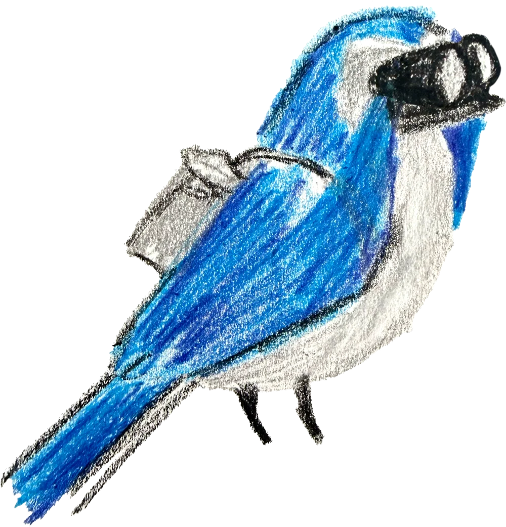 A scrub jay holding a pair of binoculars